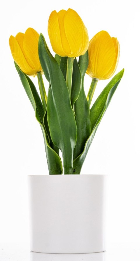 Roślina Dekoracyjna Led-Prom.