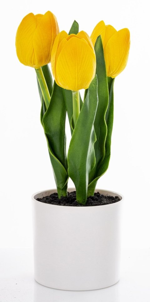 Roślina Dekoracyjna Led-Prom.