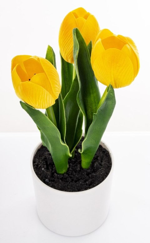 Roślina Dekoracyjna Led-Prom.