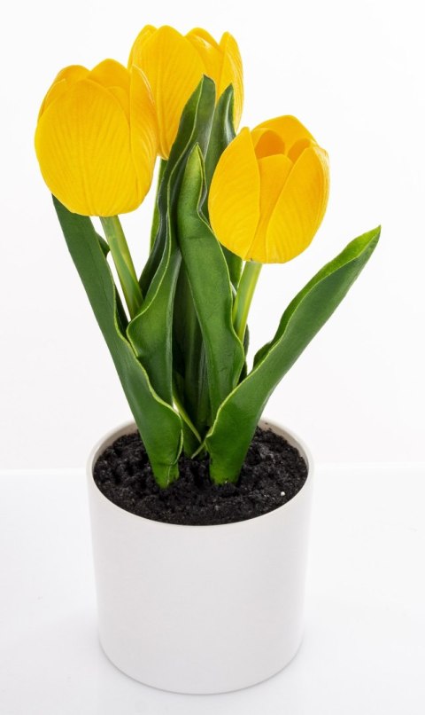 Roślina Dekoracyjna Led-Prom.