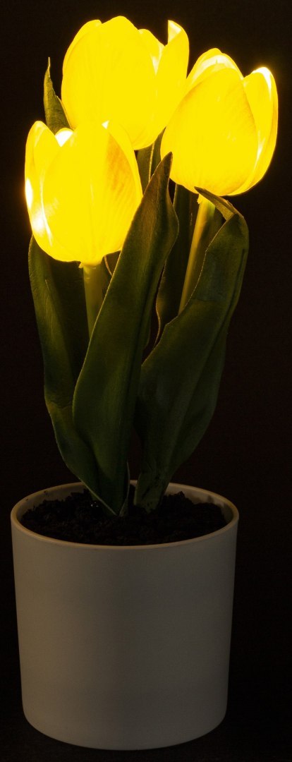Roślina Dekoracyjna Led-Prom.