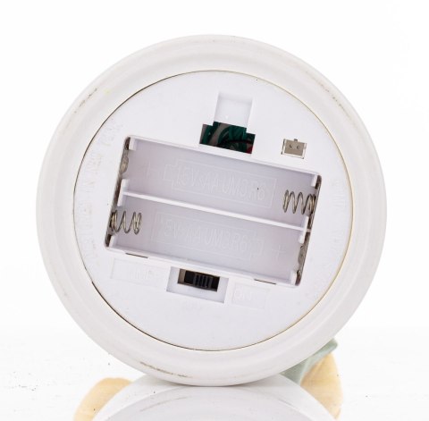 Roślina Dekoracyjna Led-Prom.