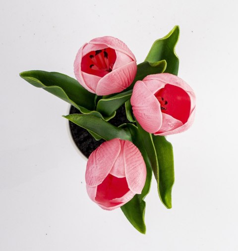 Roślina Dekoracyjna Led-Prom.