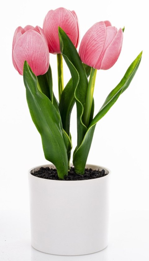 Roślina Dekoracyjna Led-Prom.