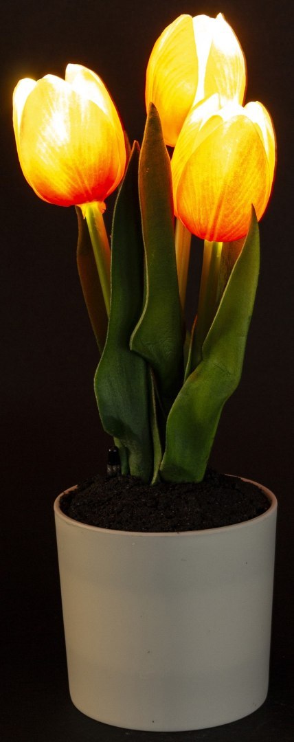 Roślina Dekoracyjna Led-Prom.