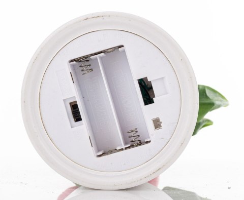 Roślina Dekoracyjna Led-Prom.