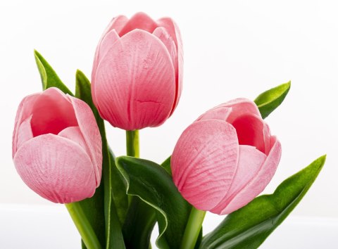 Roślina Dekoracyjna Led-Prom.