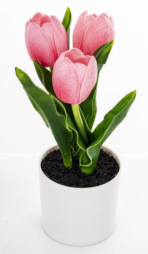 Roślina Dekoracyjna Led-Prom.