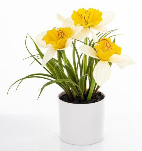 Roślina Dekoracyjna Led-Prom.