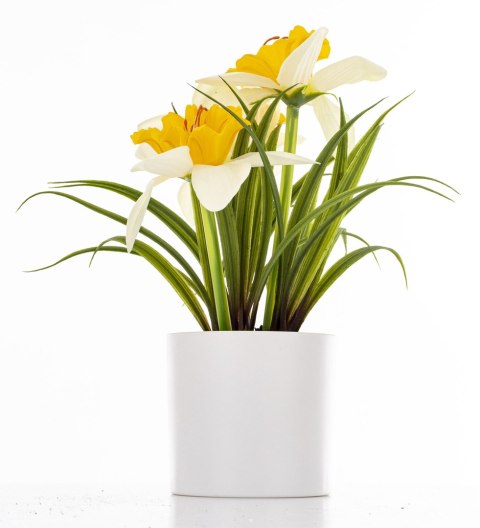 Roślina Dekoracyjna Led-Prom.