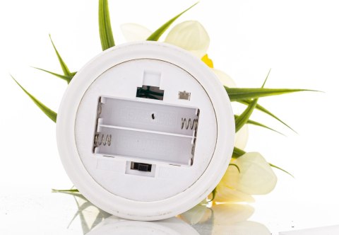 Roślina Dekoracyjna Led-Prom.