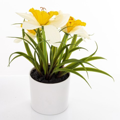 Roślina Dekoracyjna Led-Prom.