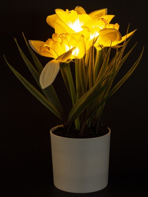 Roślina Dekoracyjna Led-Prom.