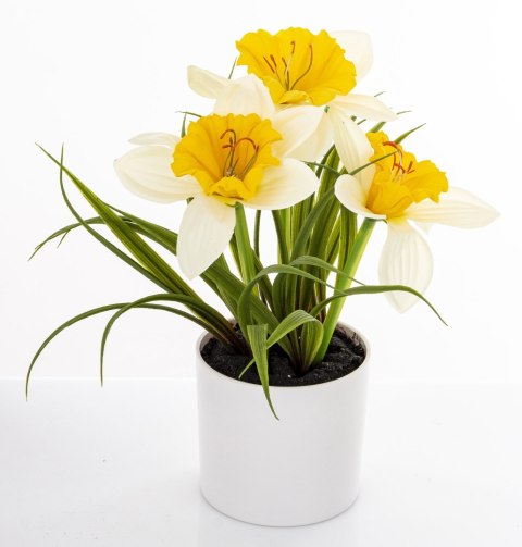 Roślina Dekoracyjna Led-Prom.