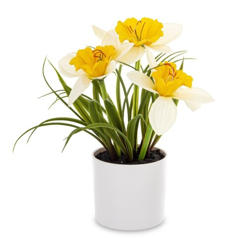 Roślina Dekoracyjna Led-Prom.