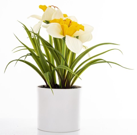 Roślina Dekoracyjna Led-Prom.