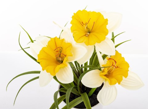 Roślina Dekoracyjna Led-Prom.