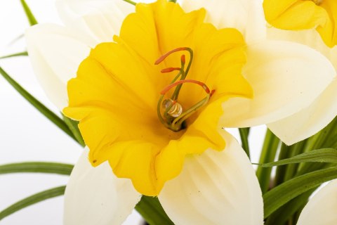 Roślina Dekoracyjna Led-Prom.