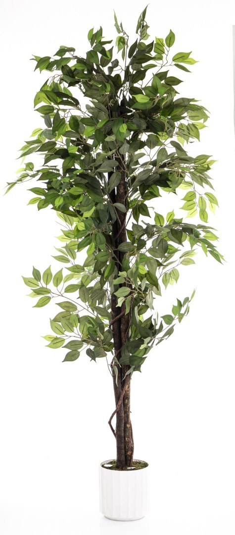 Roślina Dekoracyjna Led