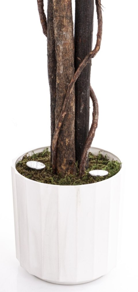 Roślina Dekoracyjna Led