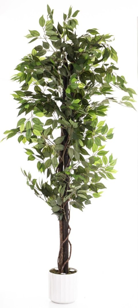 Roślina Dekoracyjna Led