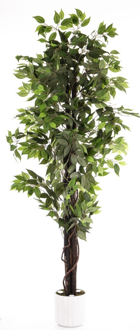 Roślina Dekoracyjna Led