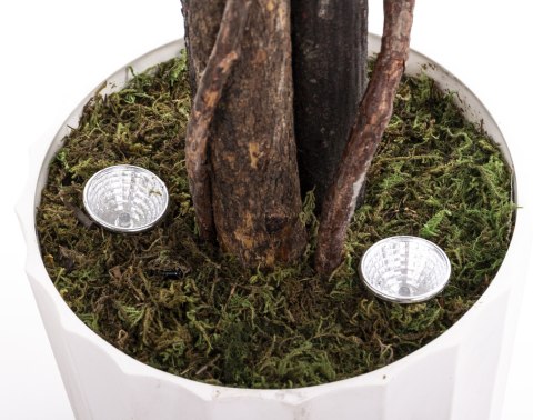 Roślina Dekoracyjna Led