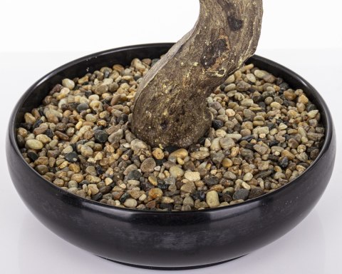 Sztuczne Drzewko Bonsai