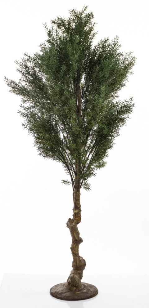 Sztuczne Drzewko Cedrowe