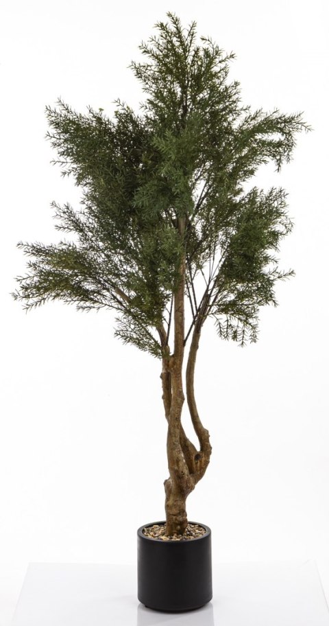 Sztuczne Drzewko Cedrowe