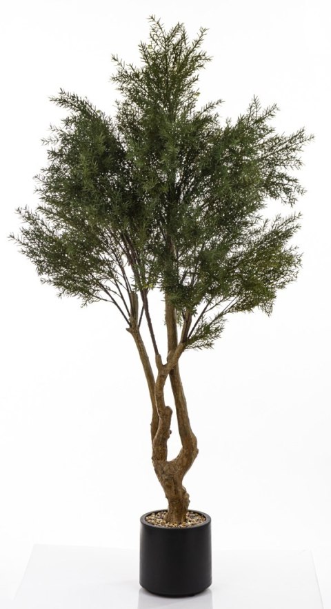 Sztuczne Drzewko Cedrowe