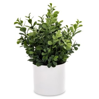 Roślina Dekoracyjna Led-Prom.