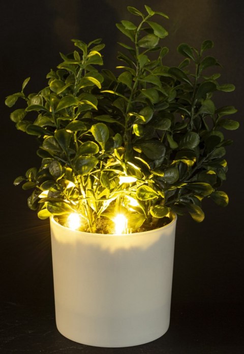 Roślina Dekoracyjna Led-Prom.