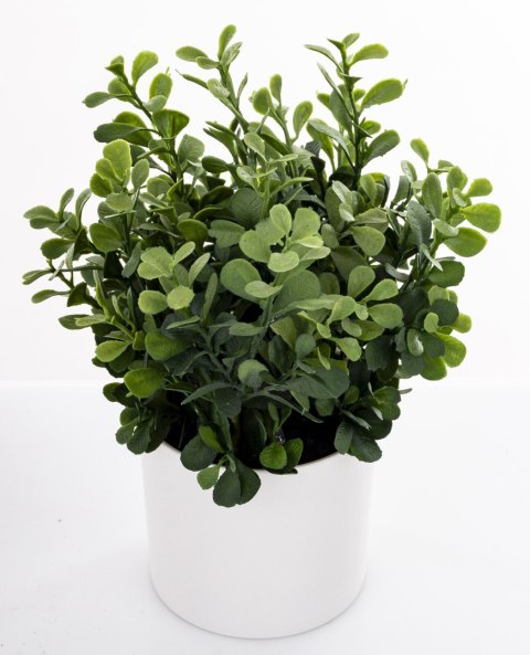 Roślina Dekoracyjna Led-Prom.