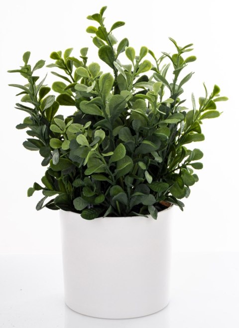 Roślina Dekoracyjna Led-Prom.