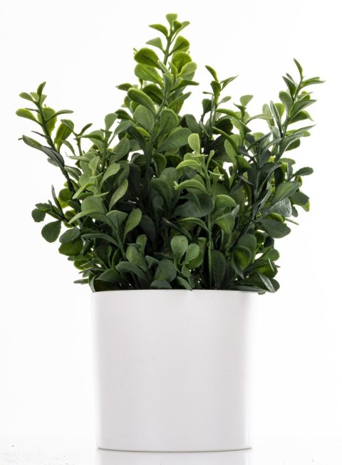 Roślina Dekoracyjna Led-Prom.