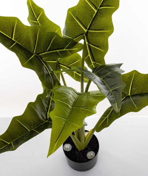 Roślina Dekoracyjna Led