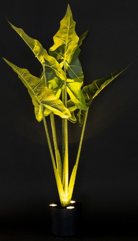 Roślina Dekoracyjna Led