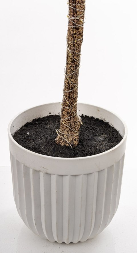 Roślina Dekoracyjna Led