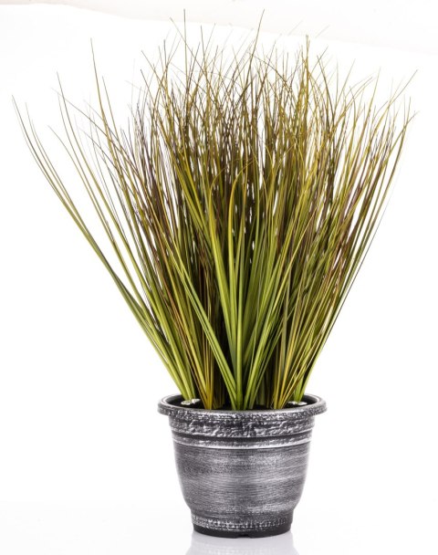 Roślina Dekoracyjna Led