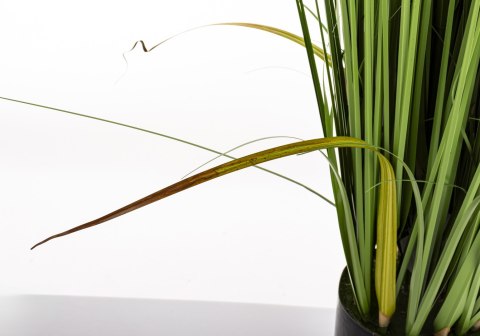 Roślina Dekoracyjna Led