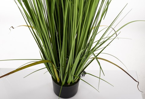 Roślina Dekoracyjna Led