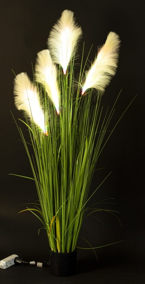 Roślina Dekoracyjna Led