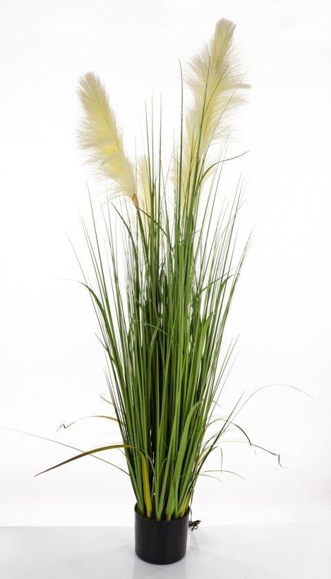 Roślina Dekoracyjna Led