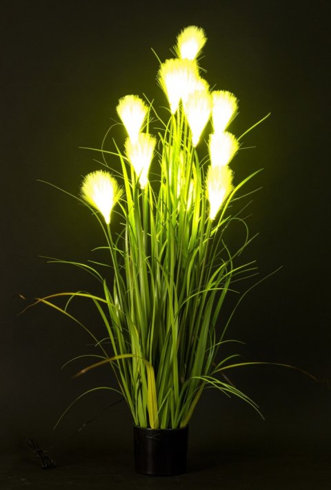 Roślina Dekoracyjna Led