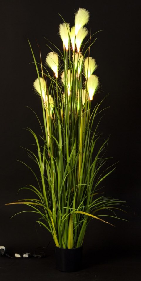 Roślina Dekoracyjna Led