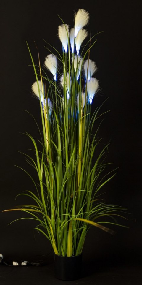 Roślina Dekoracyjna Led