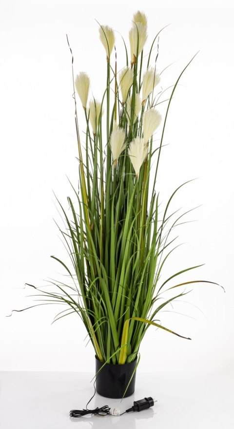 Roślina Dekoracyjna Led