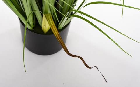 Roślina Dekoracyjna Led