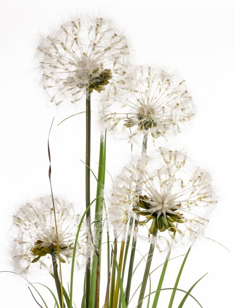 Roślina Dekoracyjna Led